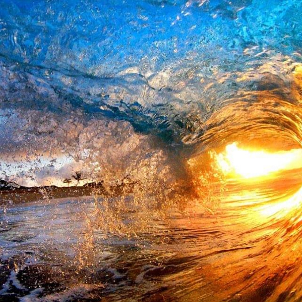 Meet your Poshers, Steve and Waipuna